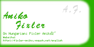 aniko fixler business card